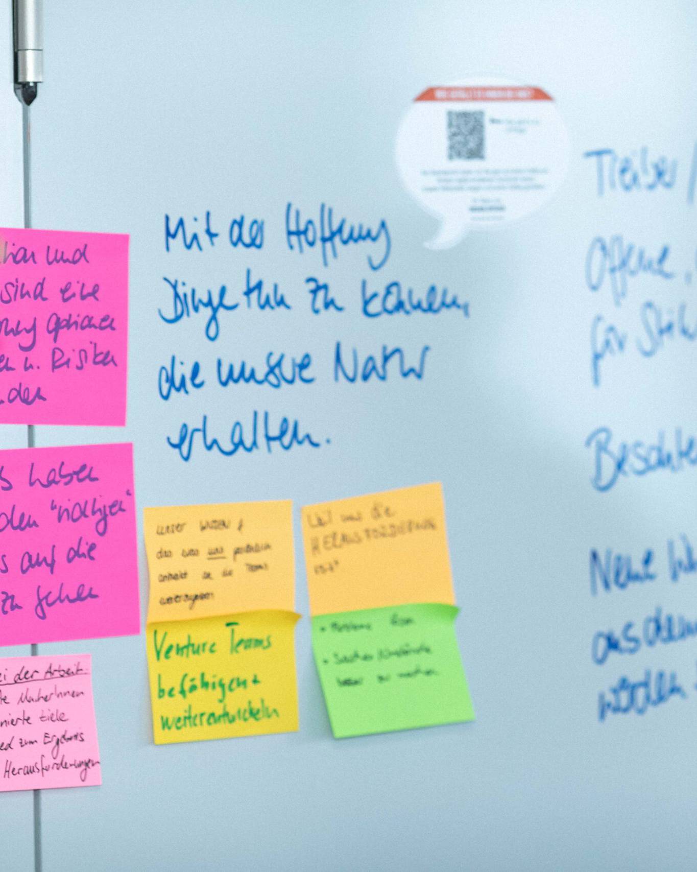 Sabrina von Eynatten vor dem Whiteboard bei einem Kundengespräch für Transformationsprozesse